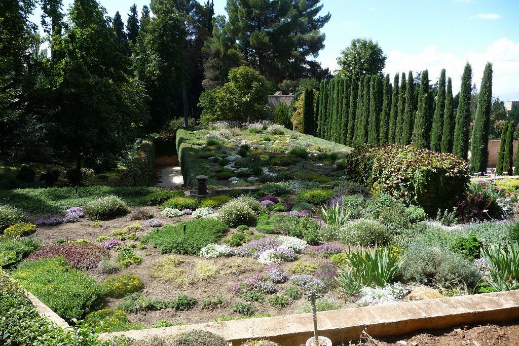P1020267.JPG