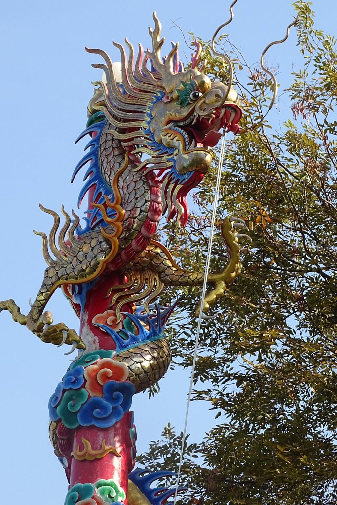 DSC01347.JPG