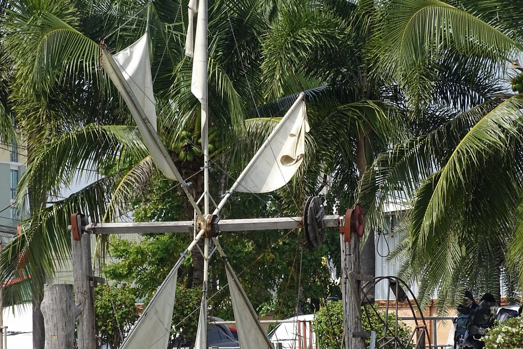 DSC01037.JPG