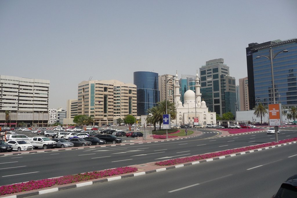 P1010765.JPG