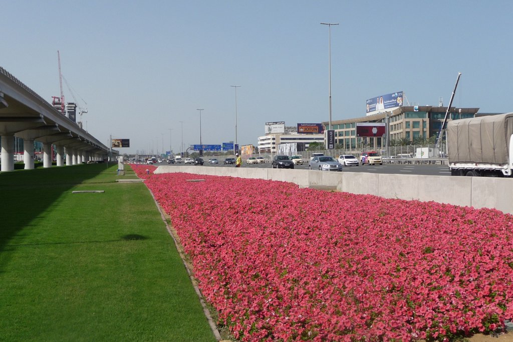 P1010923.JPG