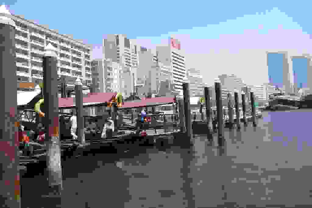 P1020002.JPG