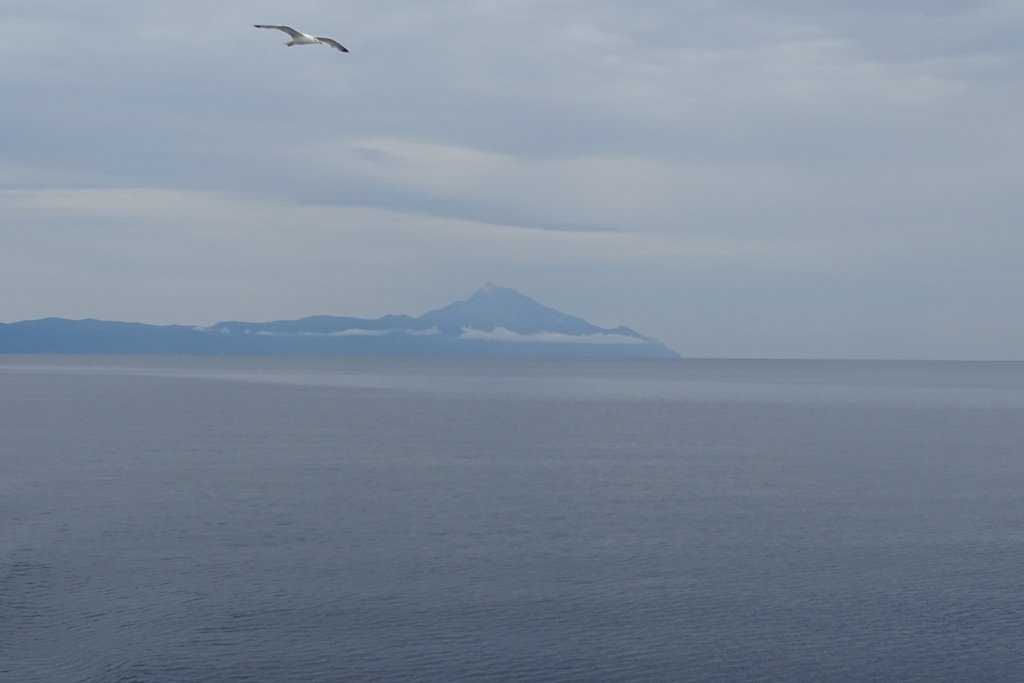 DSC01578.JPG