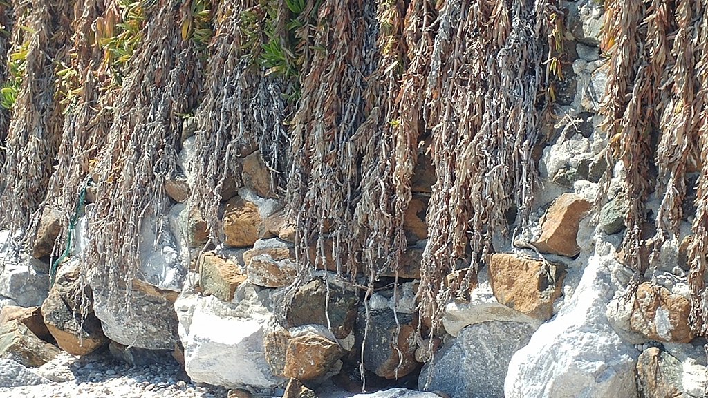 20170609-110854.jpg