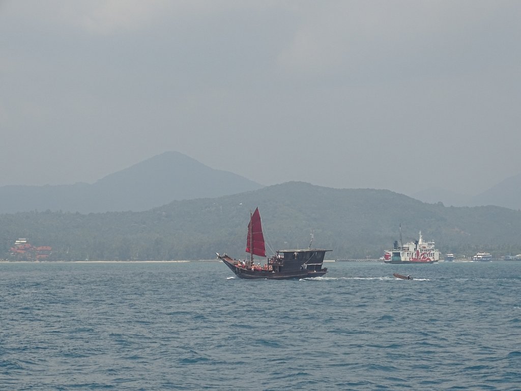DSC02017.JPG