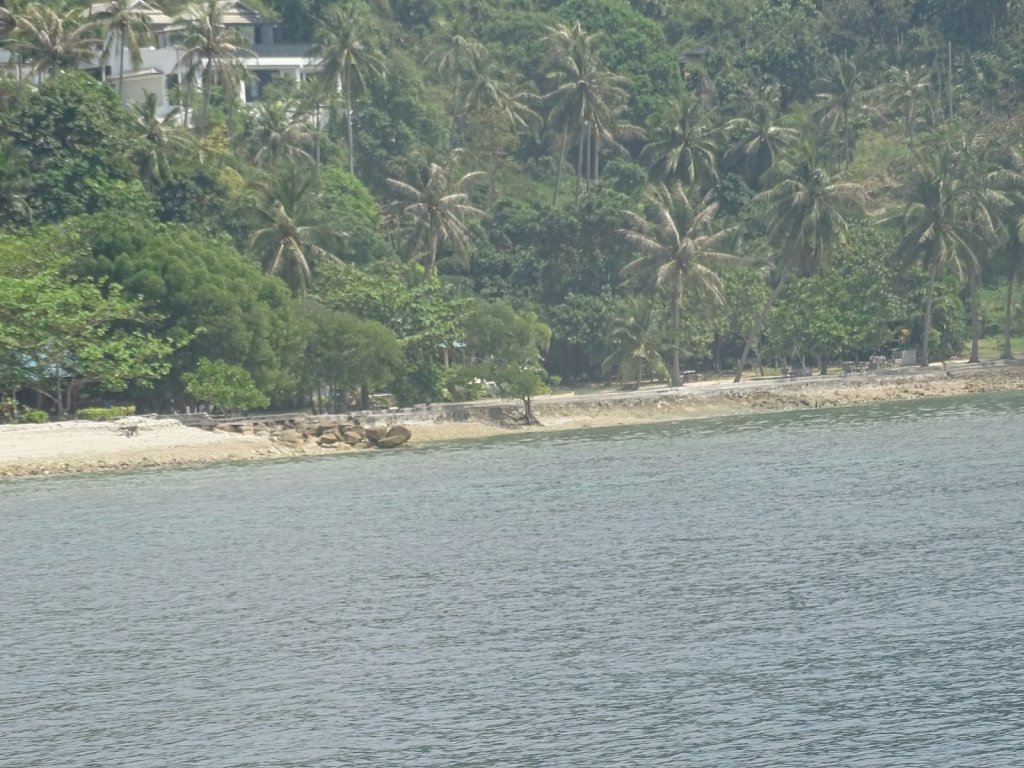 DSC02027.JPG