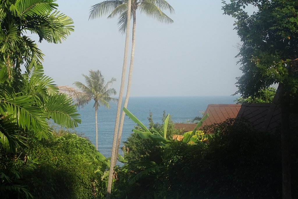 DSC01993.JPG