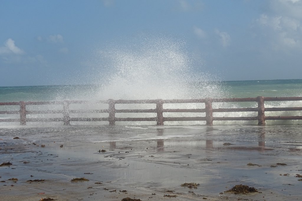 DSC01890.JPG