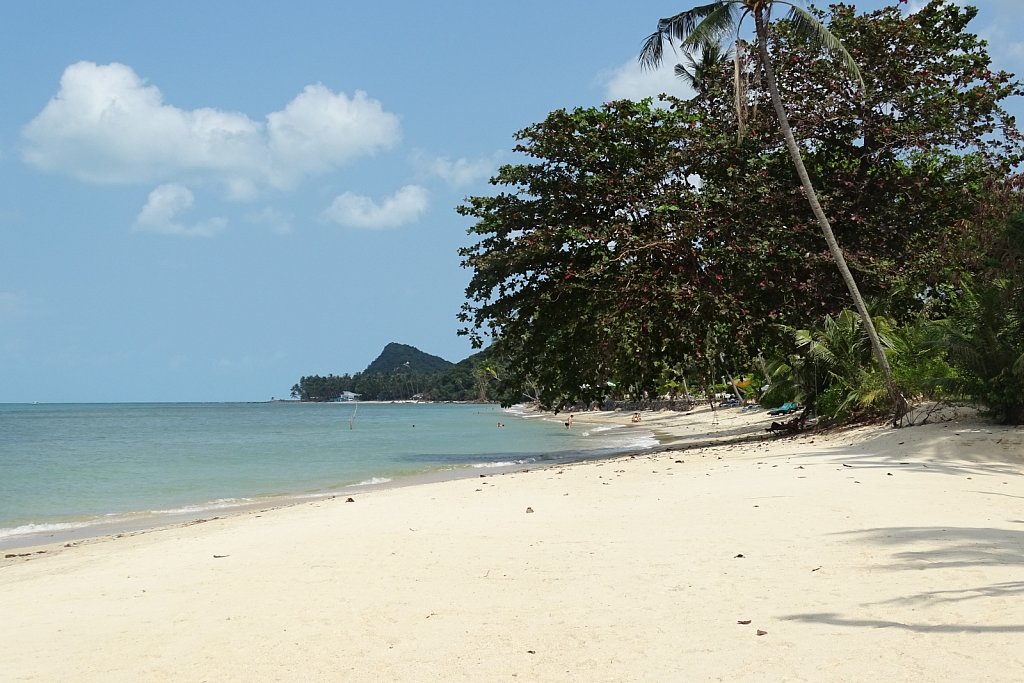 Green Coconut Village
