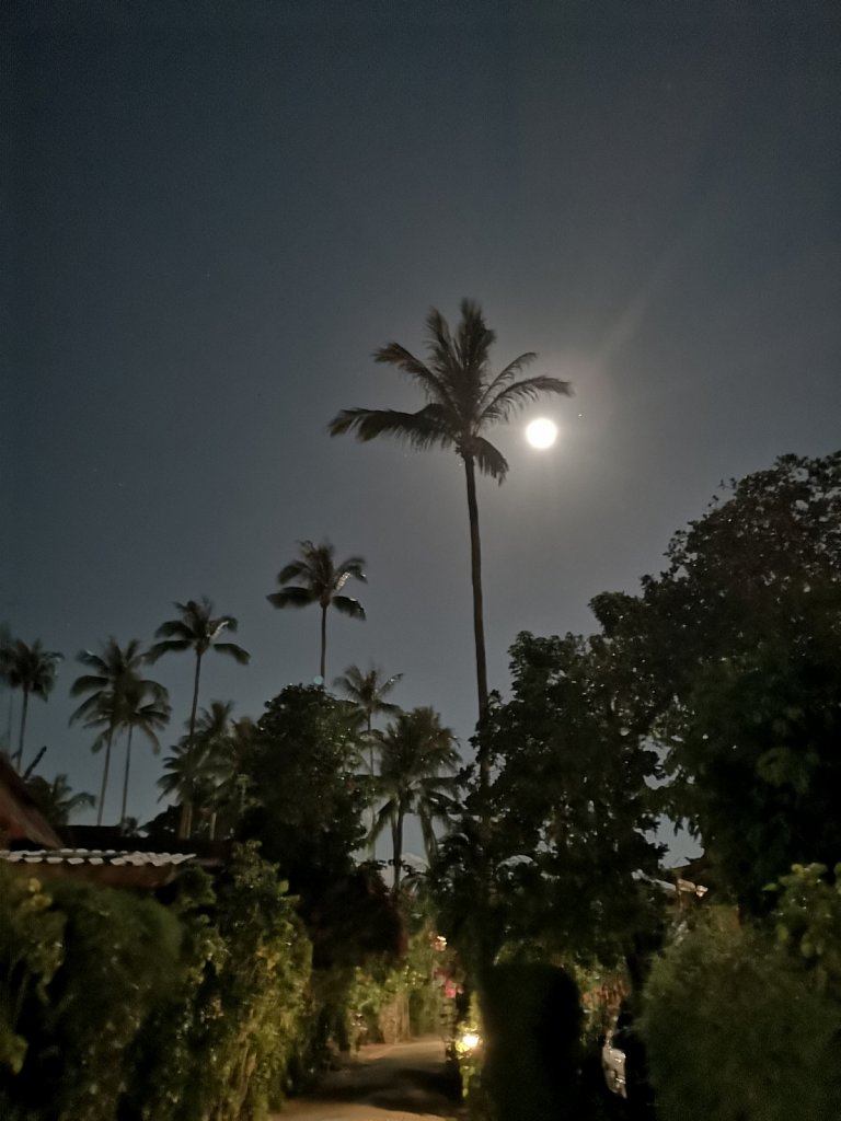 IMG-20190219-204806.jpg