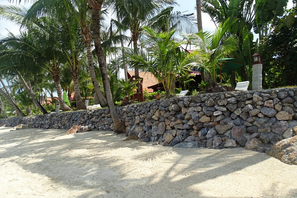 DSC02225.JPG