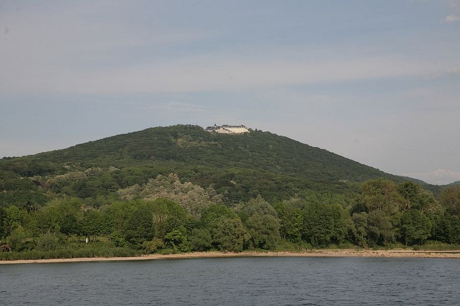 IMG-1725.JPG