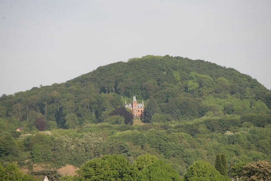 IMG-1729.JPG