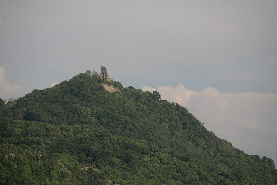 IMG-1730.JPG