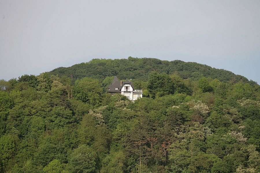 IMG-1742.JPG