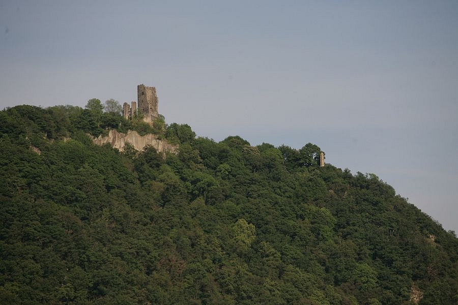 IMG-1743.JPG