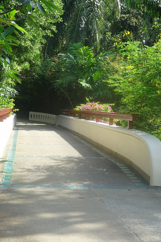 DSC01787.JPG