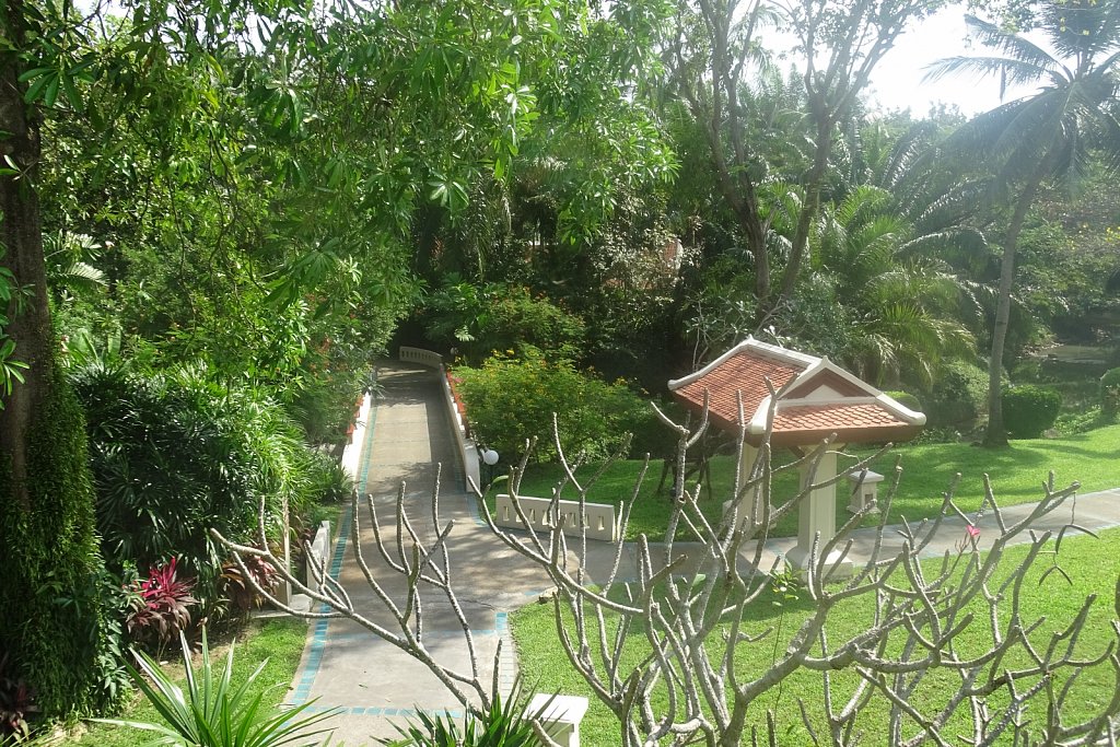 DSC01790.JPG